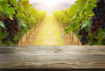 Brown wood table in green spring vineyard landscape with empty copy space on the table for product display mockup. Agriculture winery and wine tasting concept.