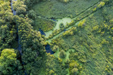 Fototapeta Pomosty - swamp in the forest view from drone. Swampy landscape. View of an impassable swamp from height. Aerial photography Wild forest landscape.
