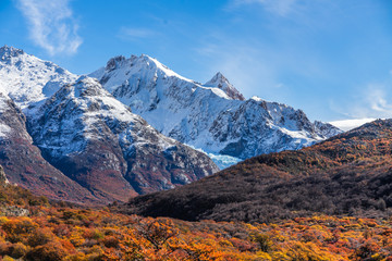  Beautiful view of mountain range with white snow peak with colorful red orange leaves tree in sunny blue sky day, autumn, El Chalten, south Patagonia, Argentina