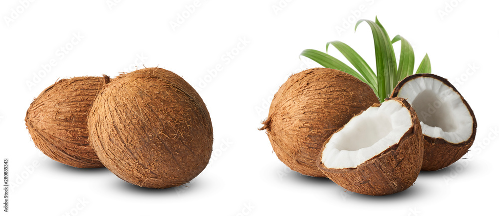 Set with Fresh raw coconut with palm leaves isolated on white background. - obrazy, fototapety, plakaty 