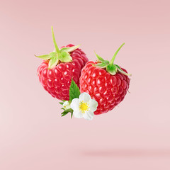 Wall Mural - Fresh ripe raspberries, green leaves and flowers flying in the air