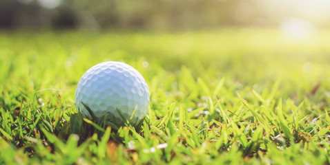 Wall Mural - golf ball on green grass with sunlight