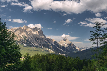 Wall Mural - Beautiful nature with green forest and rocky mountain