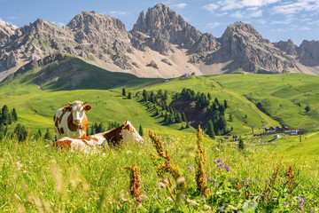 Wall Mural - Scenic Alps with cow on green field