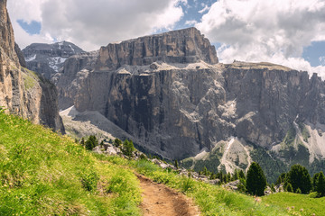 Wall Mural - Scenic Alps with trail near rocky mountain