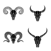 Vector Set Of Hand Drawn Skulls Of Horned Animals: Wild Buffalo, Bull And Rams On White Background.