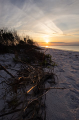 Wall Mural - Watching the sunset on the beach in Pensacola, FL