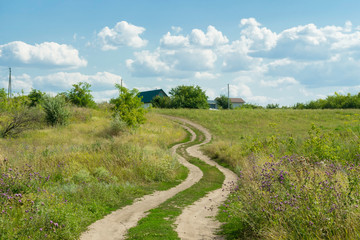 Wall Mural - The road to the field. The sky with clouds. Summer sunny day.