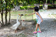 Leinwandbild Motiv Asian Little Chinese Girl Feeding goose