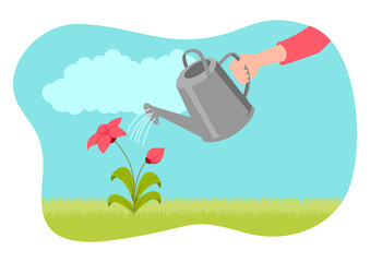 Wall Mural - watering plant
