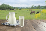 Fresh milk in glass on dark wooden table and blurred landscape with cow on meadow. Healthy eating. Rustic style.