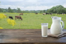 Fresh Milk In Glass On Dark Wooden Table And Blurred Landscape With Cow On Meadow. Healthy Eating. Rustic Style.