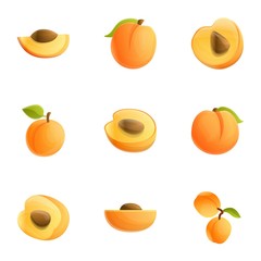 Poster - Orange peach icon set. Cartoon set of 9 orange peach vector icons for web design isolated on white background
