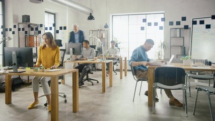 Poster - Time-Lapse In the Stylish Modern Office: Diverse Group of Enthusiastic Business Marketing Professionals Use Computers, Have Meetings, Discussing Project Ideas, Brainstorming Startup Company Strategy