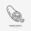 Blood vessel flat line icon. Vector thin pictogram of vein with molecules, outline illustration for hematology clinic