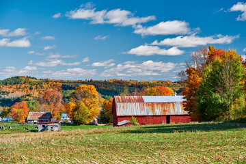 Wall Mural - Farm and red barn at sunny autumn day in Peacham, Vermont, USA