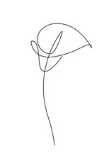 Calla Lily Flower. Line Continuous. Abstract Minimal Botanic Icon, Logo, Symbol