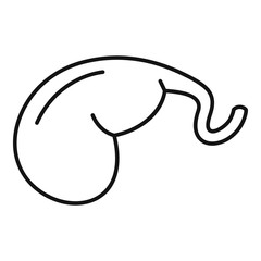 Poster - Gallbladder icon. Outline gallbladder vector icon for web design isolated on white background