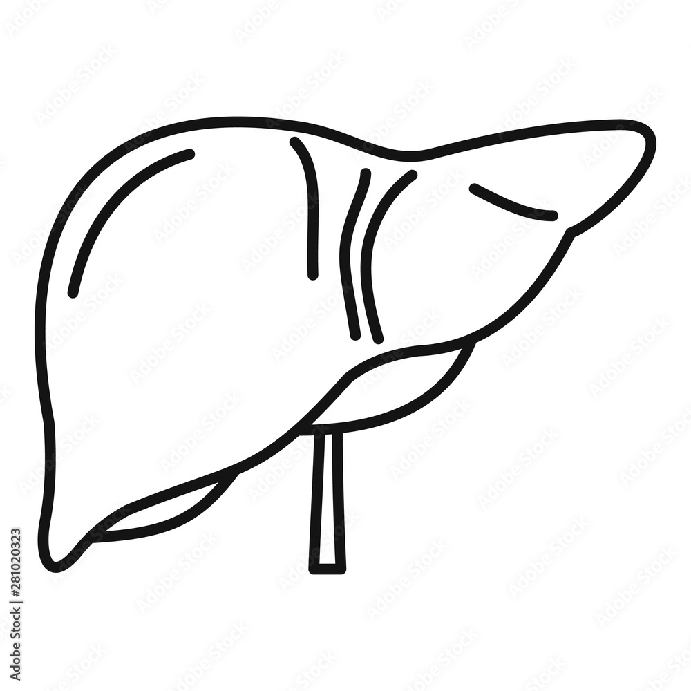 liver cartoon outline