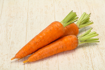 Three Young fresh ripe carrot