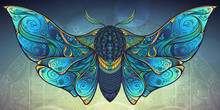 Abstract Mystical Moth In Psychedelic Design. Vector Illustration.