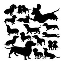 Dachshund  Dog Animal Silhouettes. Good Use For Symbol, Logo,  Web Icon, Mascot, Sign, Or Any Design You Want.