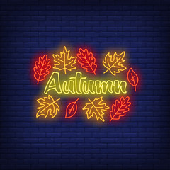 Aufkleber - Autumn neon sign. Word, text, fall leaves. Autumn concept. Vector illustration in neon style, glowing element for sale banners, seasonal posters, flyers