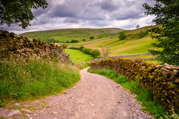 Wall Mural - bridleway in upper swaledale, one of the most northerly dales in the yorkshire dales national park, 