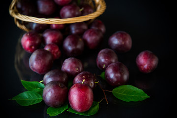 Canvas Print - organic red ripe cherry plum isolated on black