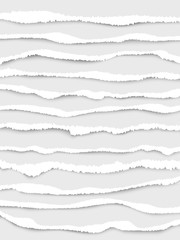 Canvas Print - Ripped paper edges. Cut strip white notes ripped lines vector realistic collection. Edge ripped paper, scrap strip sheet illustration