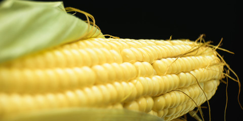 Poster - Close up beautiful fresh corn maze on a black background. Macro view.