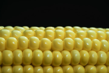 Poster - Close up beautiful fresh corn maze on a black background. Macro view.