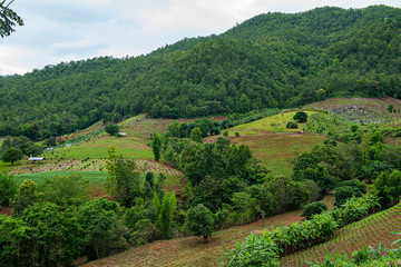 Poster - Agricultural area with mountain view of Mae Chaem district in Chiang Mai province