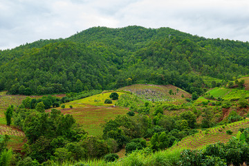 Poster - Agricultural area with mountain view of Mae Chaem district in Chiang Mai province