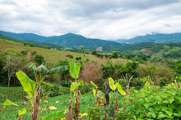 Poster - Agricultural area with mountain view of Mae Chaem district in Chiang Mai province