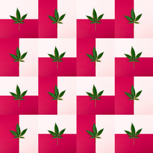 Red & Pink Geometric Cannabis