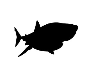 Wall Mural - Graphical silhouette of shark isolated on white background,vector illustration for tattoo,printing,logo