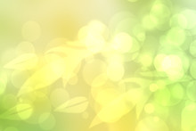 Abstract Gradient Green Light And Yellow Colorful Pastel Spring Or Summer Bokeh Background With Leaves And Circular Lights. Beautiful Texture.