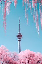 TV Tower, Beijing