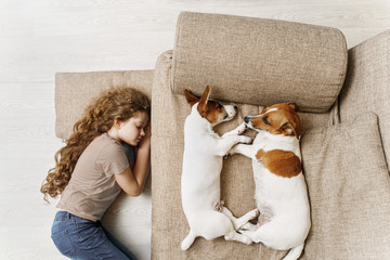 Wall Mural - Two Jack Russell are sleeping on the bed, and the owner of the girl is sleeping on the floor.