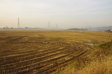 harvested field in autumn