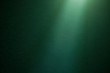 A green beam of light shines from above on a dark green finely textured background