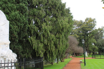 Buenos Aires, Rosedal