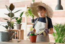 Cute Little Gardener With Plants Indoors