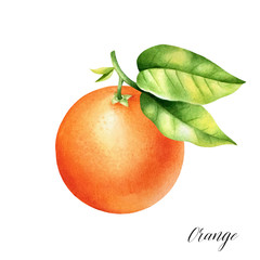 Poster - Isolated orange with leaves. Watercolor illustrartion of citrus juicy fruit.