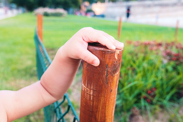 Wall Mural - Close-up of a baby's hand clutching a trunk to support his learning to walk.