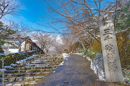京都三千院参道の冬景色 Buy This Stock Photo And Explore Similar Images At Adobe Stock Adobe Stock 京都三千院参道の冬景色 Buy This Stock Photo And Explore Similar Images At Adobe Stock Adobe Stock