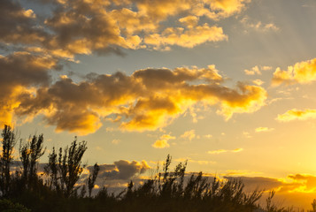 Wall Mural - after a hurricane - grand bahama - freeport - coastal sunset.