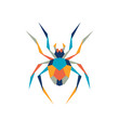 Geometric polygonal spider. Abstract colorful animal. Vector illustration.	