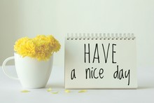 Have A Nice Day Note On Paper With Yellow In White Cup Of Coffee On White Background.minimal Style. 